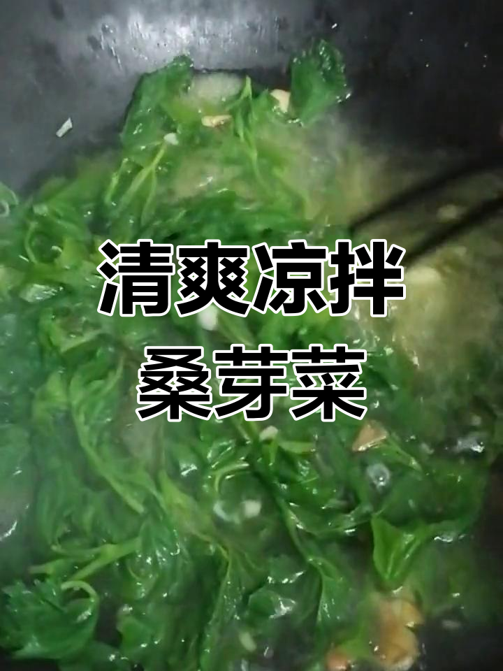 天气炎热,试试凉拌桑芽菜,简单又美味!