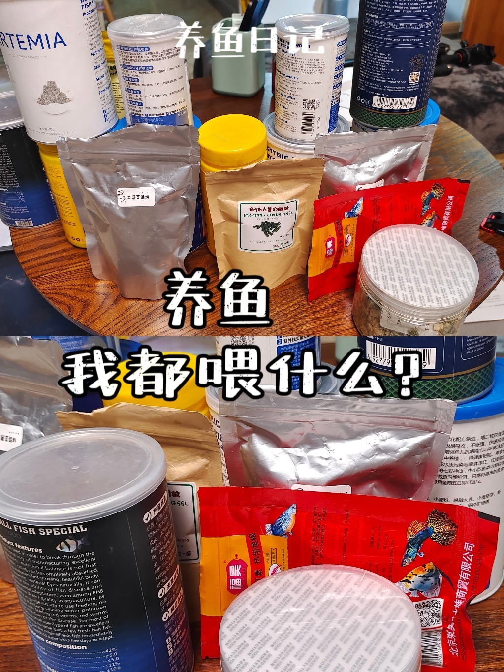 「养鱼日记」常用鱼饲料介绍