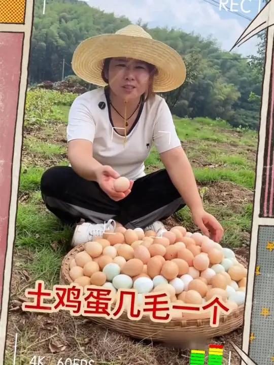 50枚精品山林散养土鸡蛋农家笨鸡蛋单枚45±5克净重2050克新鲜鸡蛋 