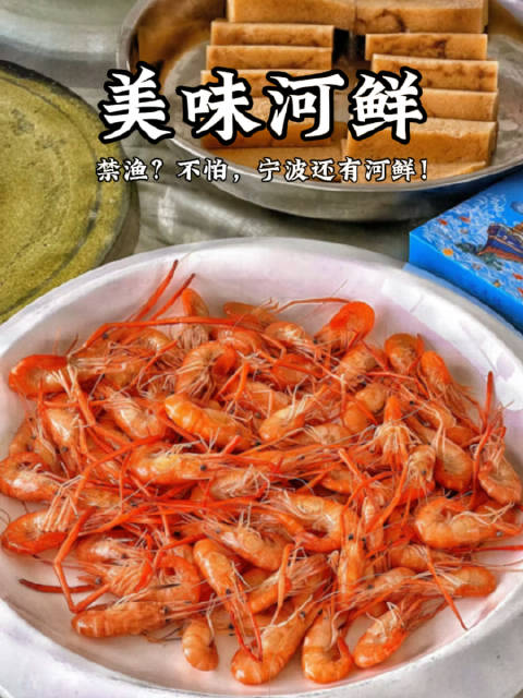 禁渔不怕宁波还有河鲜「坏笑」禁渔没海鲜?不怕,我们宁波有嘎嘎好吃河鲜!都知道吧?5.1开始