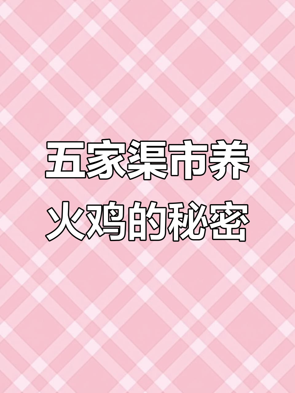 火鸡养殖基地揭秘:五家渠市芦花鸡场防疫与疫苗接种全过程
