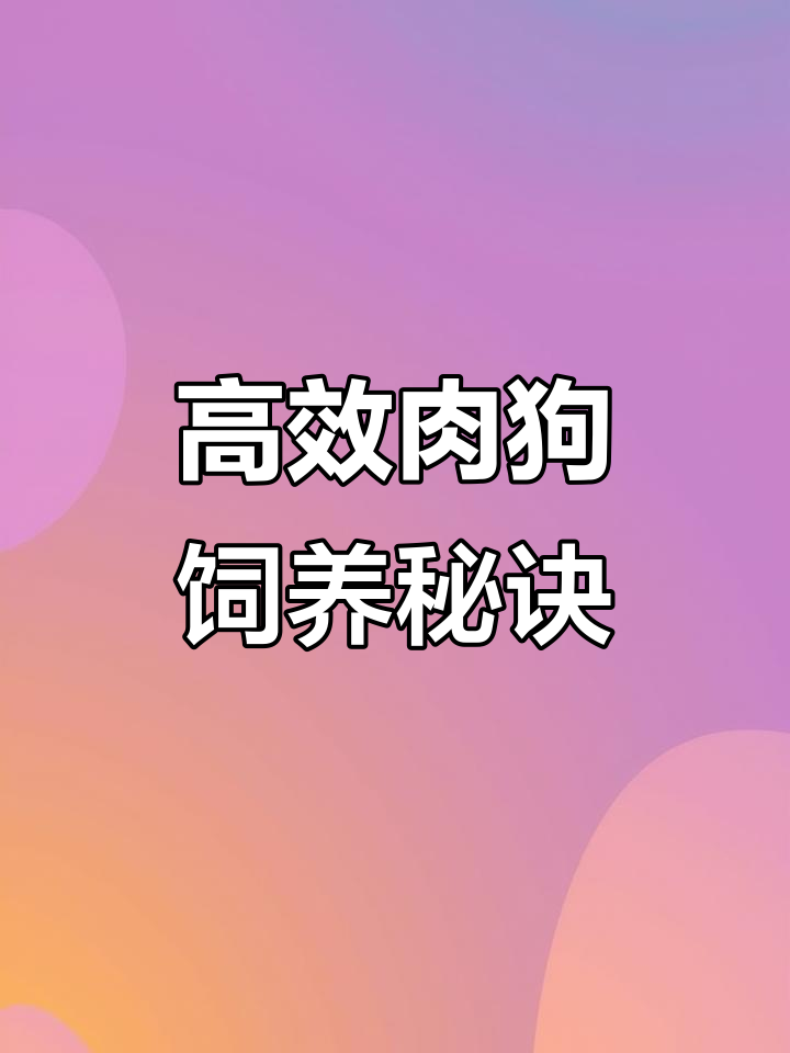 肉狗养殖饲料配方大揭秘,70天育肥关键技巧