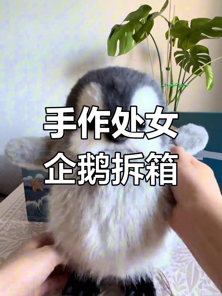 处女座小企鹅手作玩偶开箱,生日防伪标签超萌