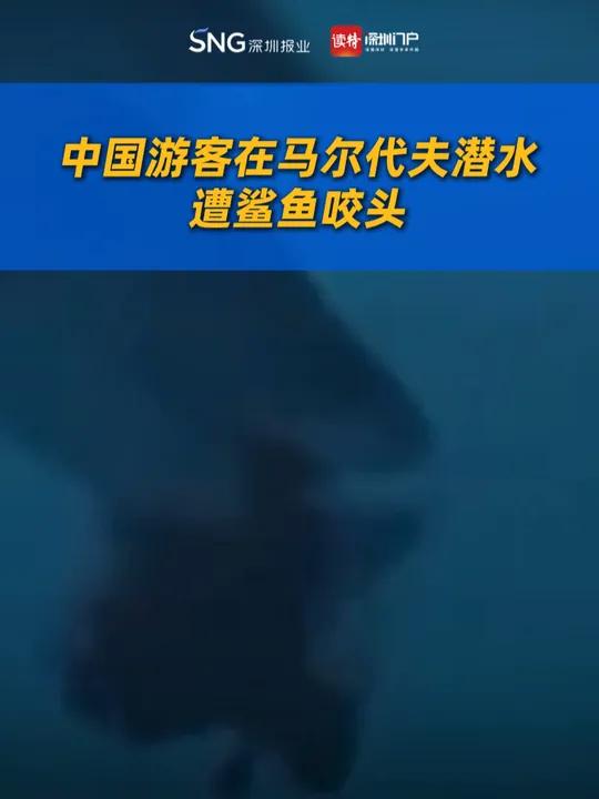 中国游客在马尔代夫潜水,遭鲨鱼咬头。11月28日,据大象新闻报道,马尔代夫媒体称,一中国游