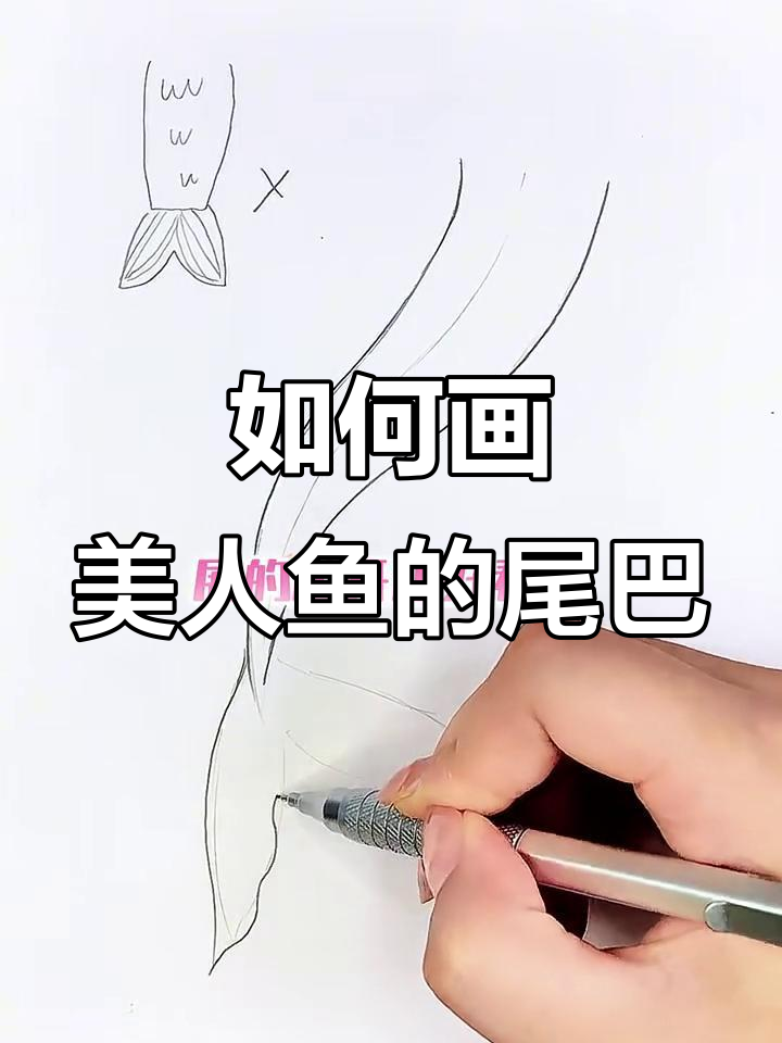 画出完美鱼尾，别再画成水桶腰了！