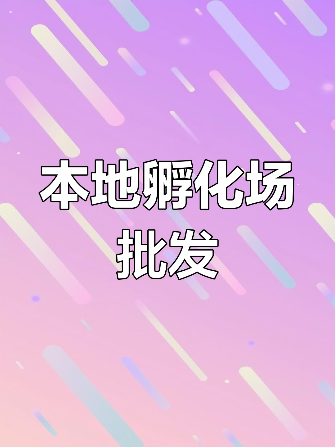 本地孵化场鸡苗批发,质量保证,一站式服务