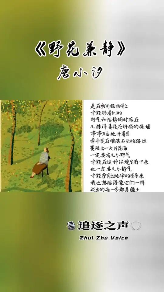 《野花兼静》唐小汐 几株洋姜花在坍塌的堤堰  亭亭玉立地开着花 牵牛花在堆满石头的路边  
