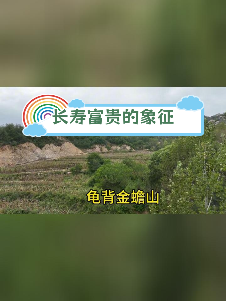 乌龟与金蟾的寓意:长寿富贵