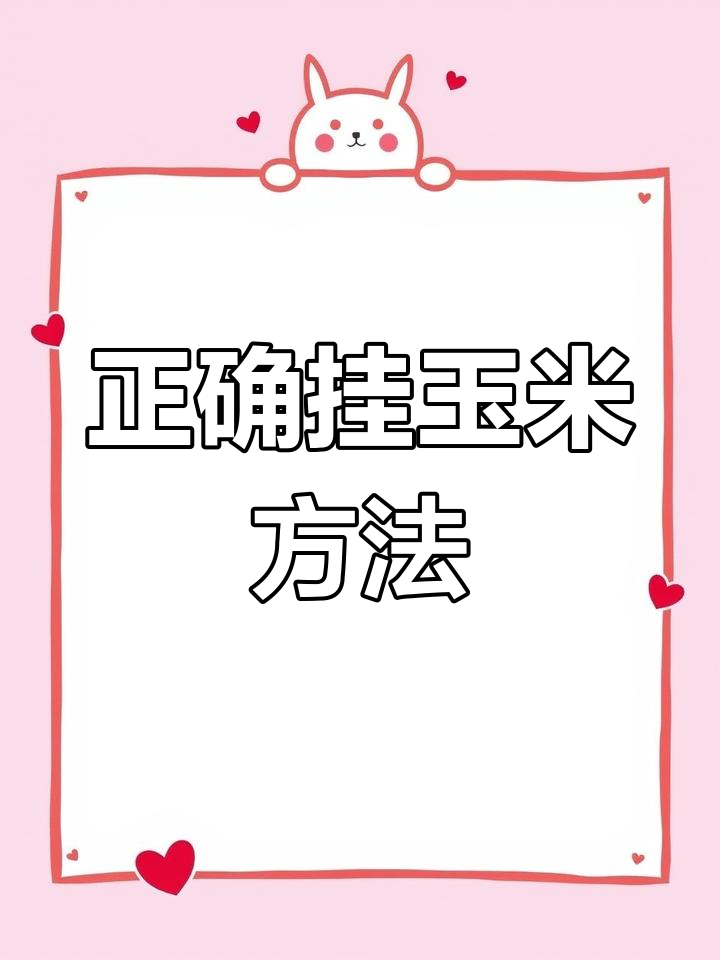 玉米挂钩技巧大揭秘,避免挡口让鱼轻松咬钩
