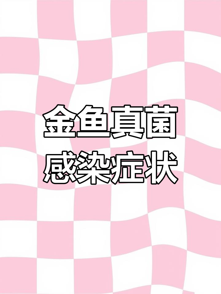 金鱼身上白色絮状物原因解析