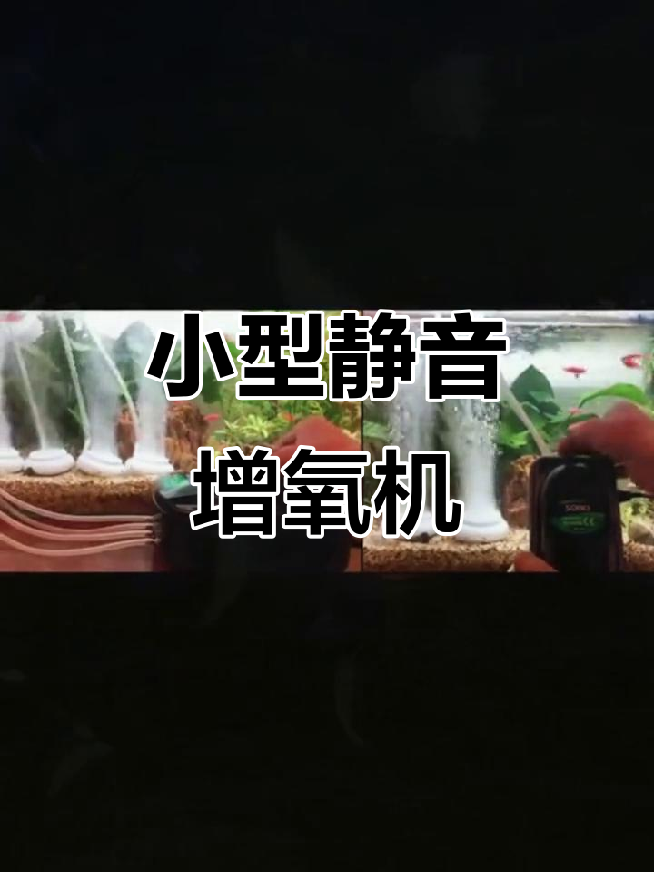 静音增氧泵,让鱼缸充满自然氧气