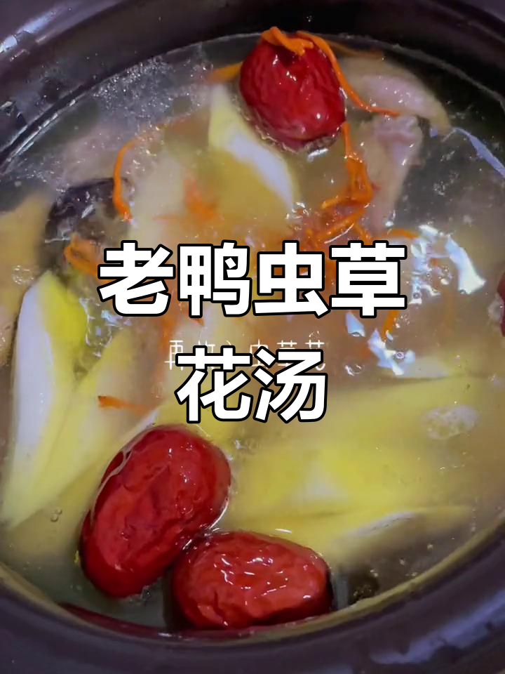 虫草老鸭汤,滋补又美味,炖出满满营养
