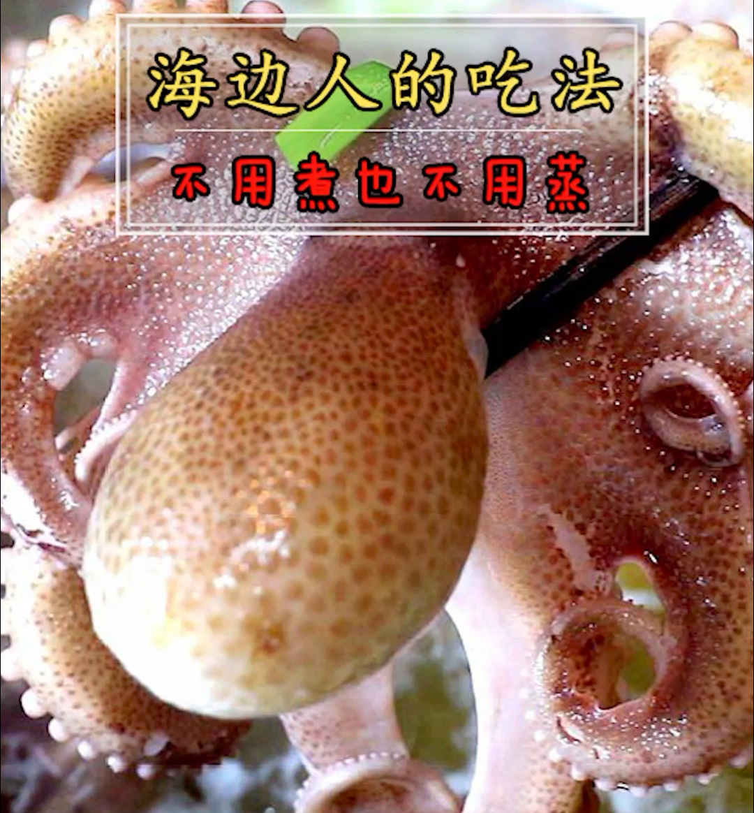 八爪鱼的正确煮法
