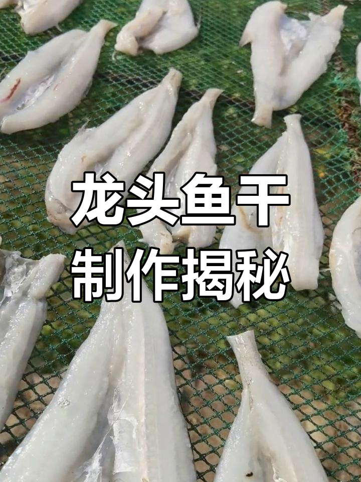 龙头鱼干:霞关南坪特产,晒制工艺与价格揭秘