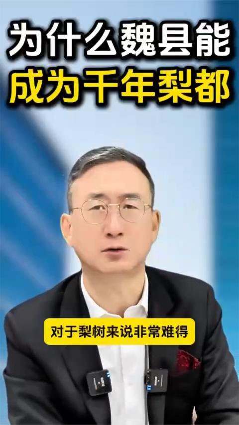 为什么魏县能成为千年梨都