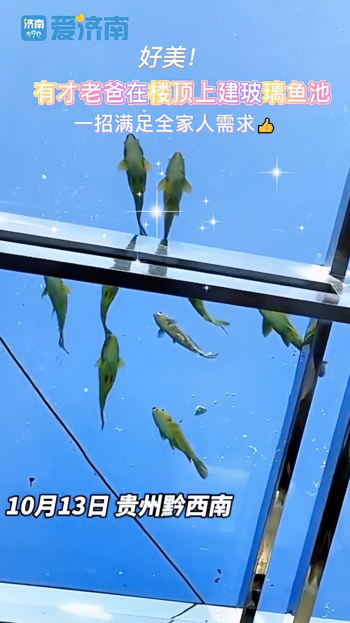 好美!有才老爸在楼顶建玻璃鱼池!一招满足全家人需求 玻璃鱼池 庭院水景效果图 老爸阳台顶上