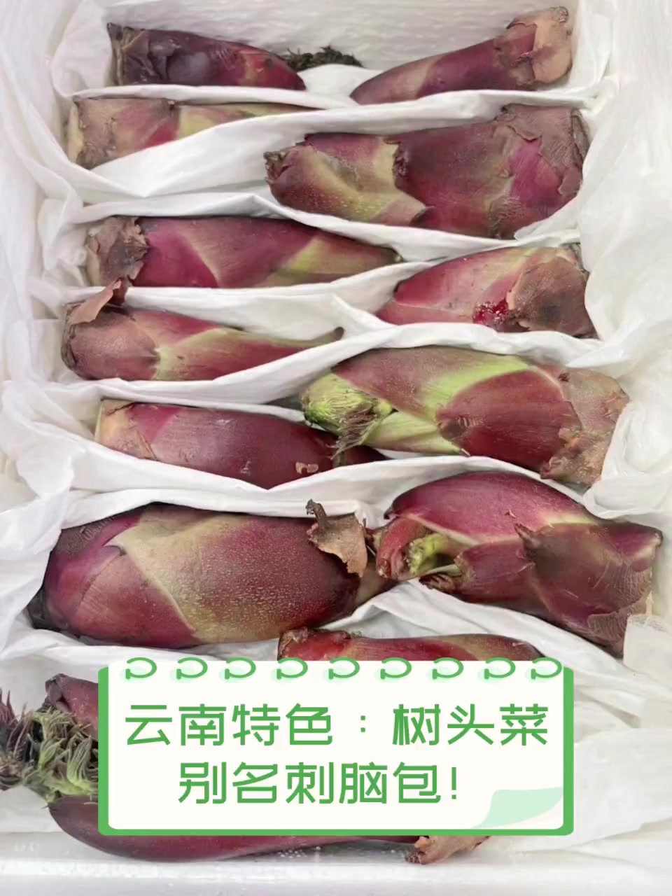 云南特色:树头菜,别名刺脑包!
