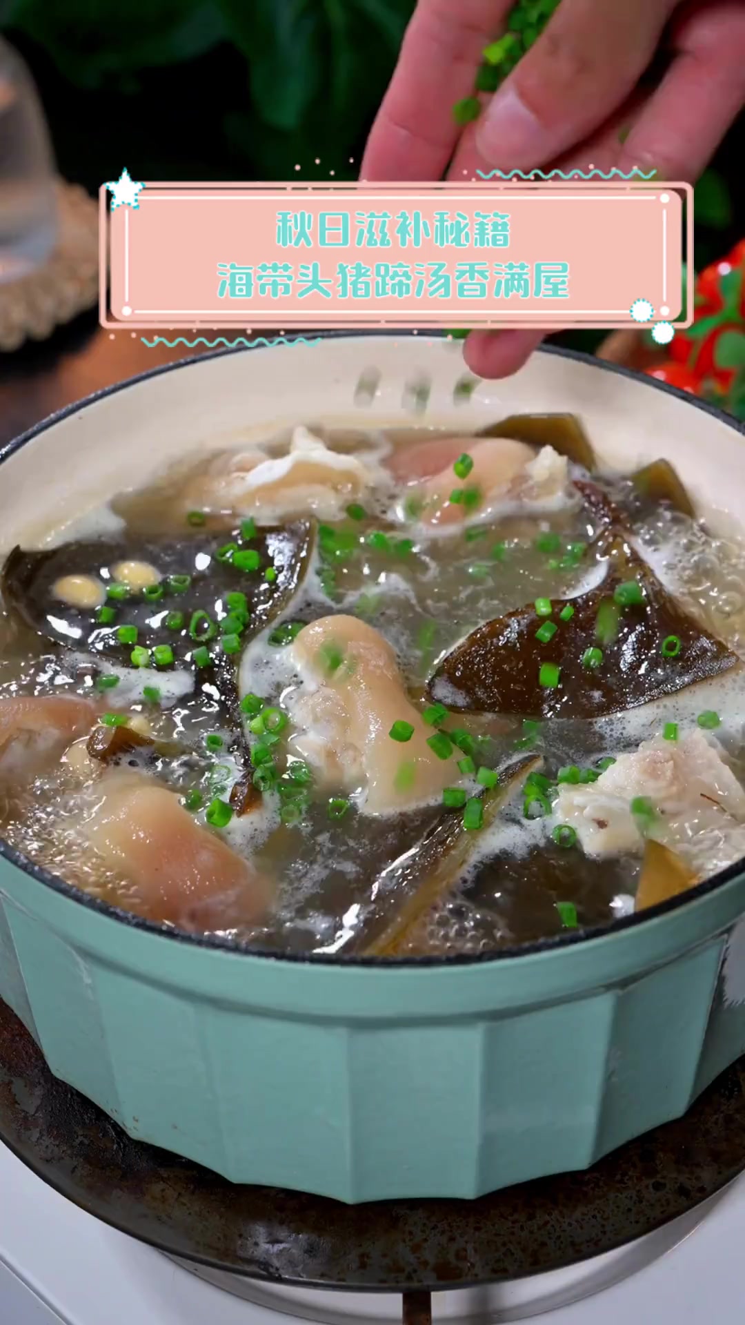 秋日滋补秘籍,海带头猪蹄汤香满屋