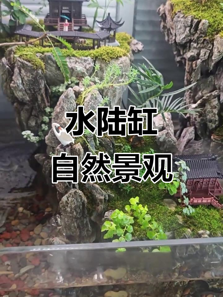 80缸水陆生态造景,乌龟悠闲如神仙,细节精致让人惊艳