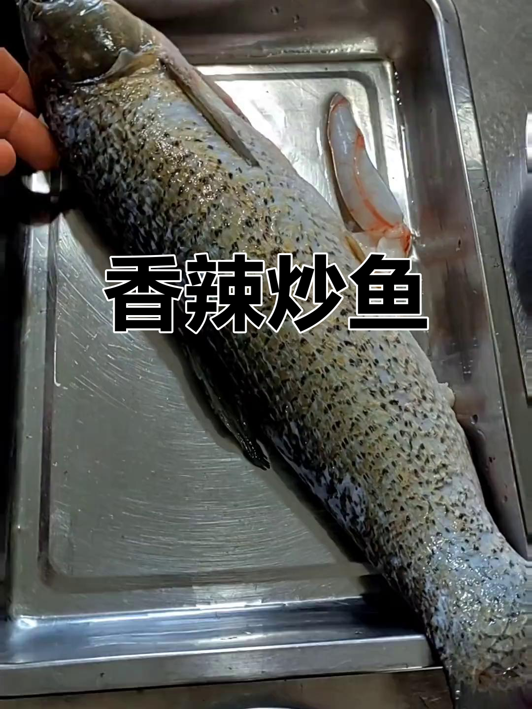 草鱼炒法全攻略