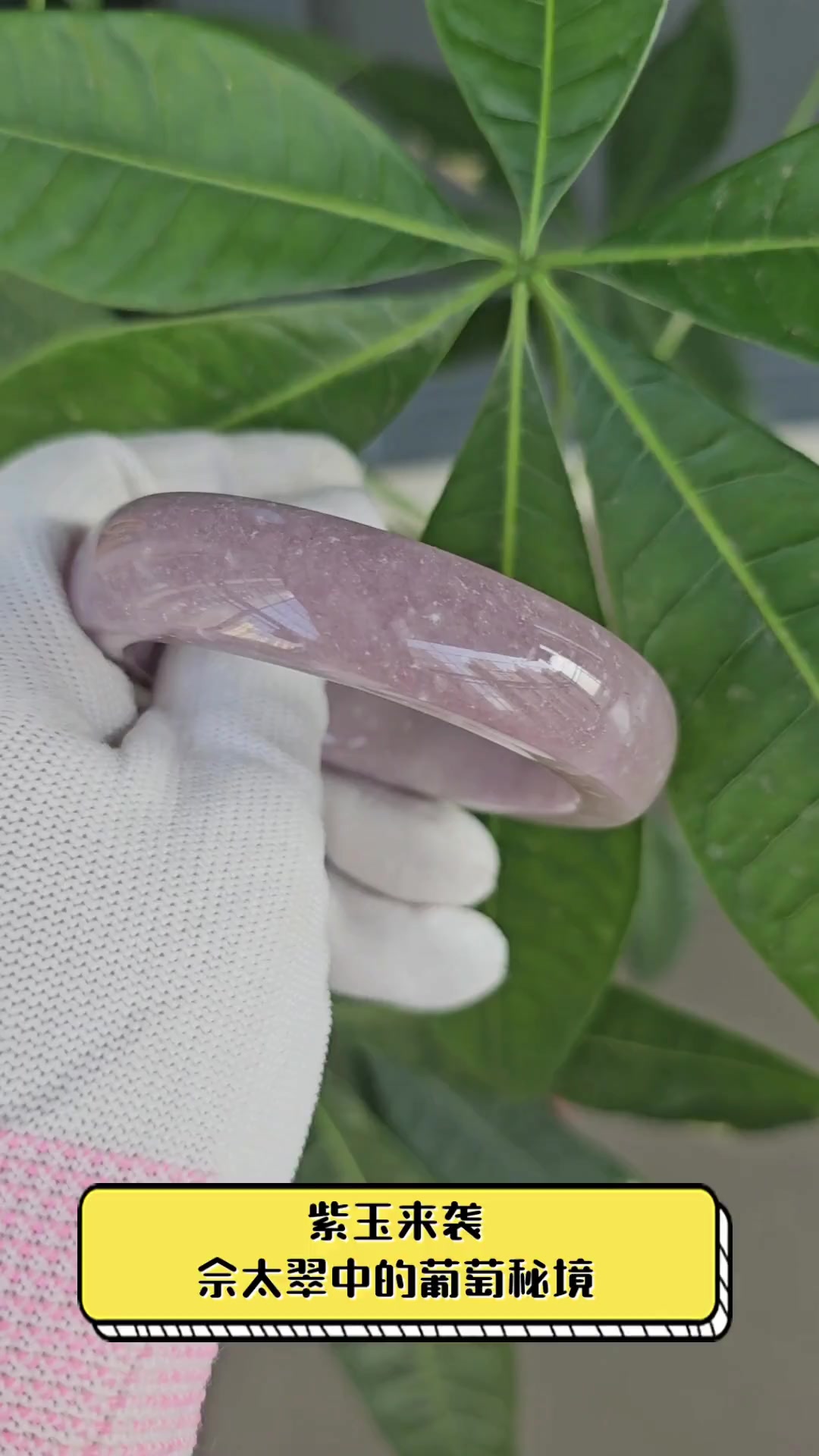 紫玉来袭,佘太翠中的葡萄秘境