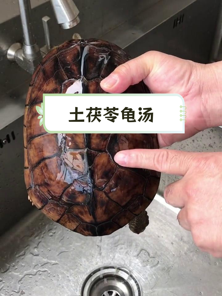 土茯苓炖龟汤,排毒去湿的滋补美味