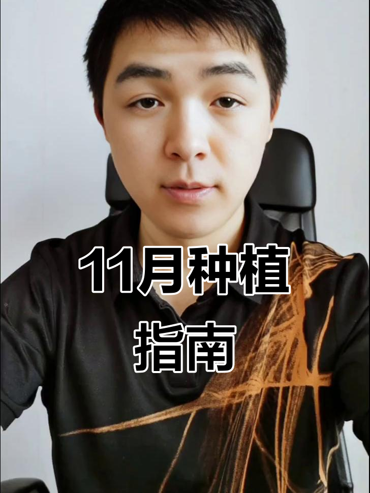 11月种什么菜?这8种最合适,豌豆蚕豆也能栽了!