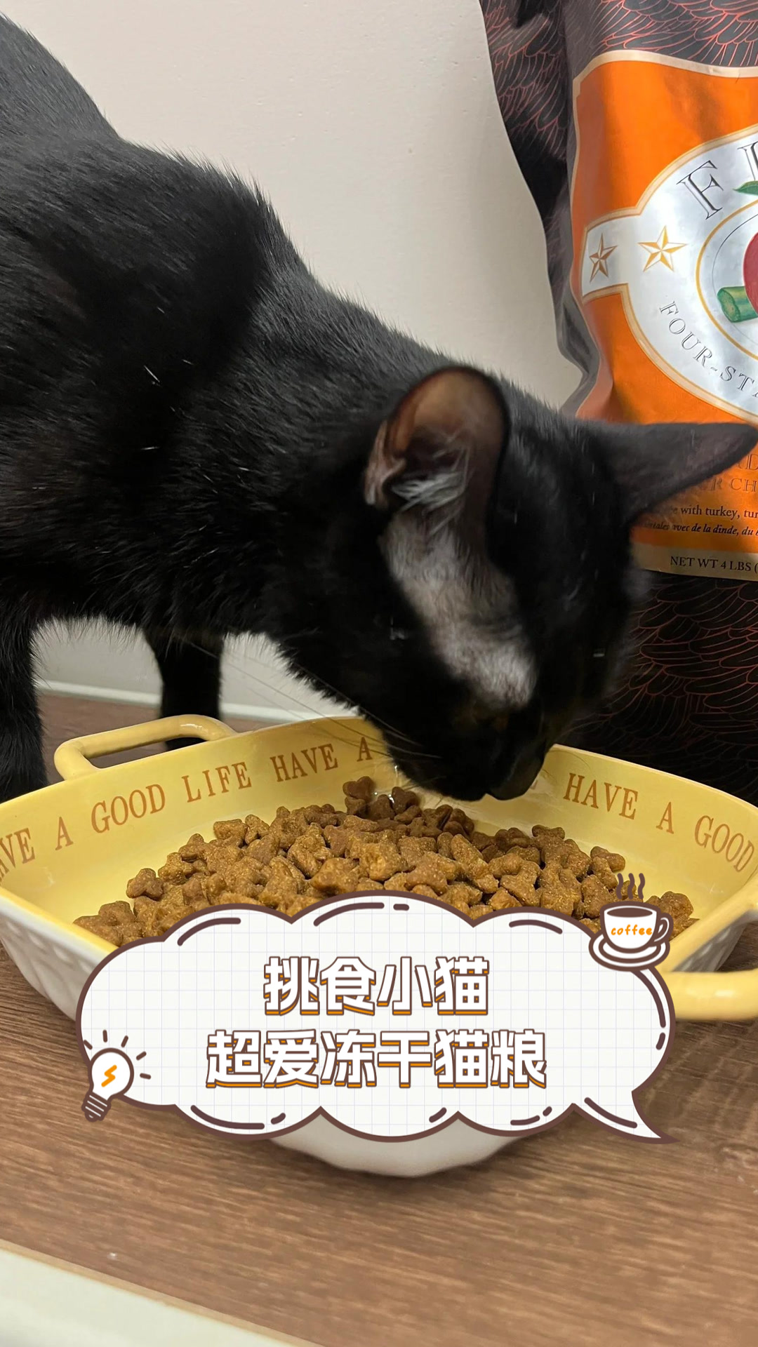 挑食小猫超爱冻干猫粮