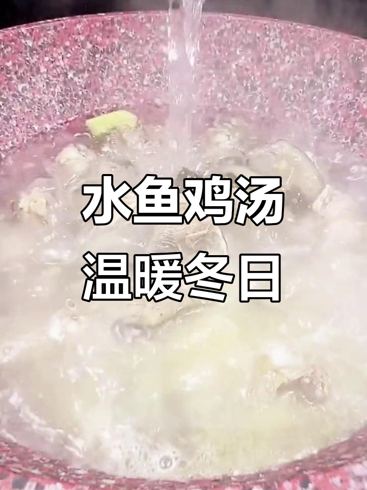 冬季暖心水鱼煲,配鸡肉和蔬菜一起炖汤