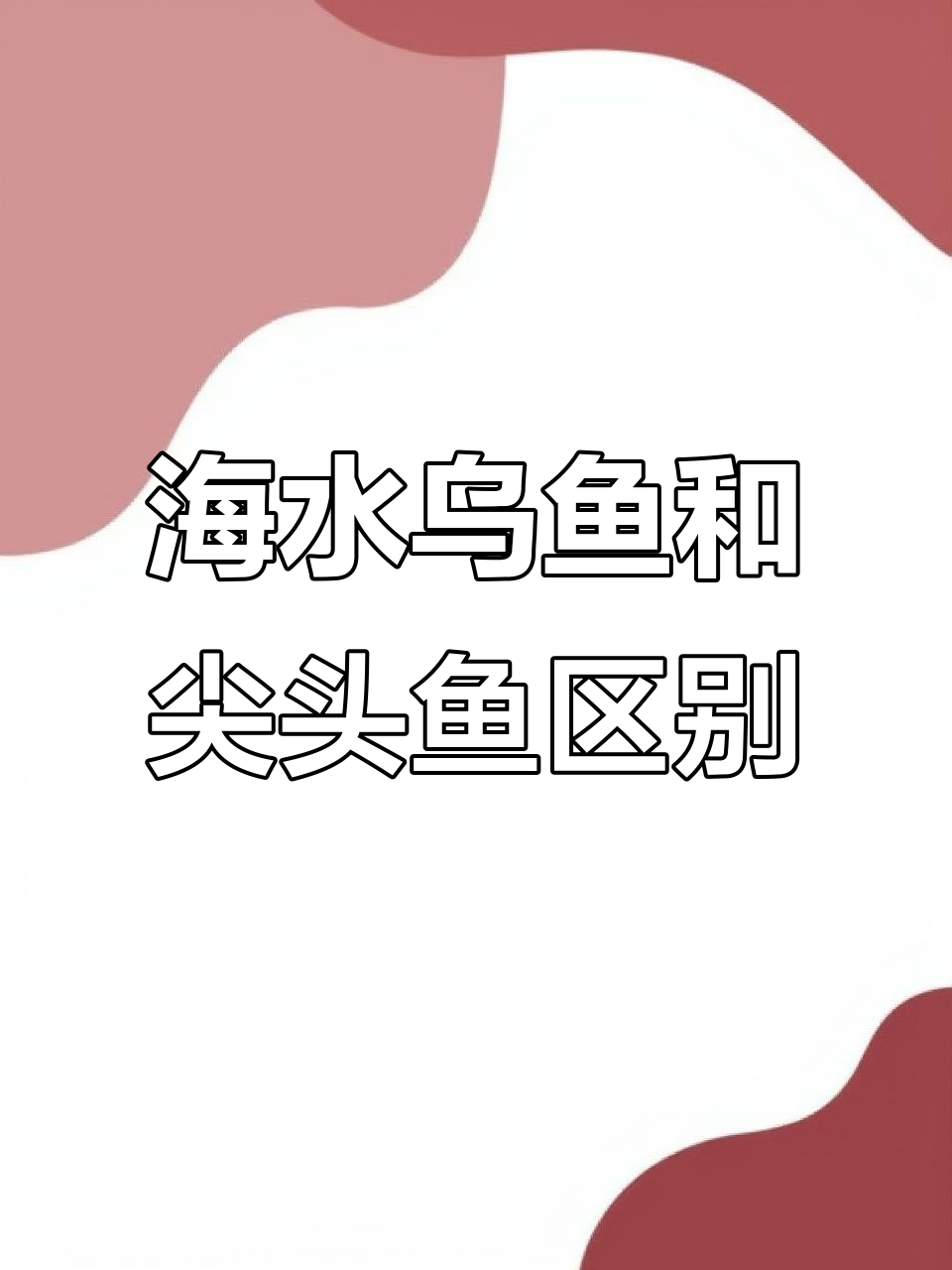 海水乌鱼与尖头鱼的差别,价格差异竟然这么大!