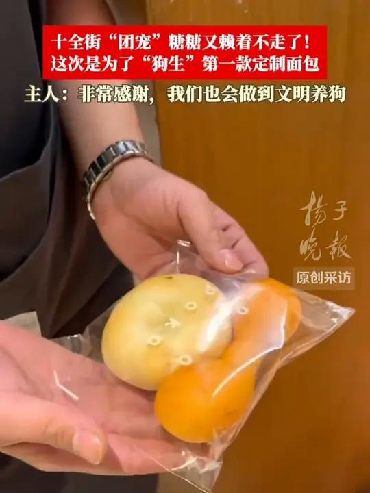 苏州十全街“大馋狗”火了,面包店为它定制“狗生”第一款专属面包