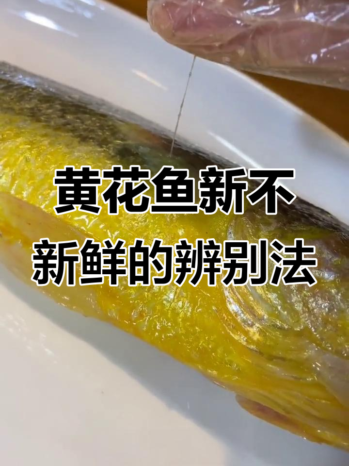 如何分辨黄花鱼新鲜与否?看这四个关键点