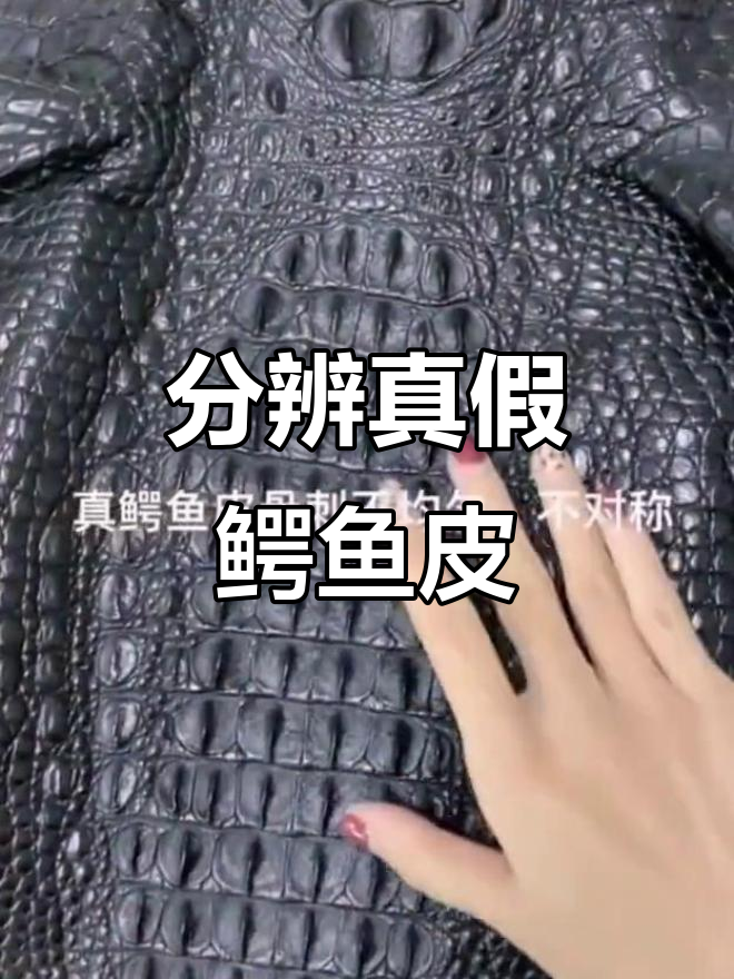 如何辨别真假鳄鱼皮?真伪对比揭秘