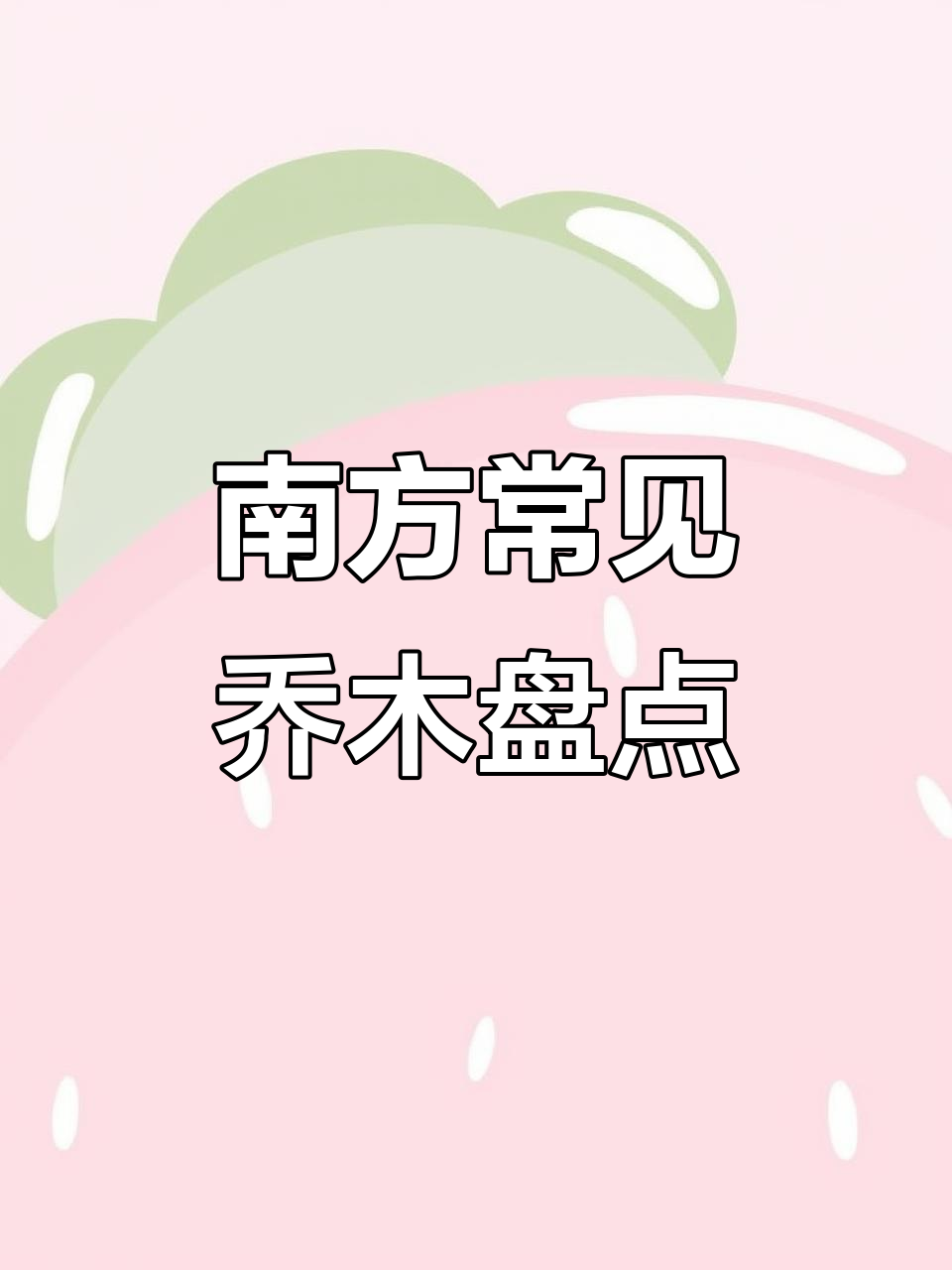 南方常见乔木大揭秘,这些树木你认识吗?