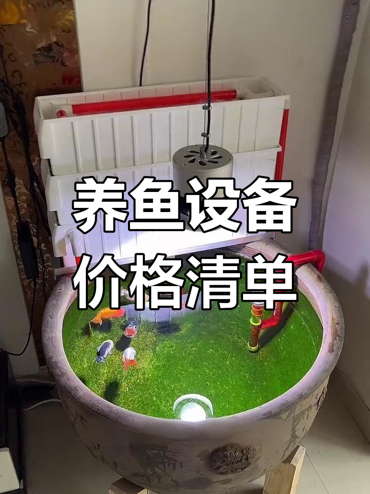 兰寿金鱼养殖全套设备揭秘,3000元搞定!