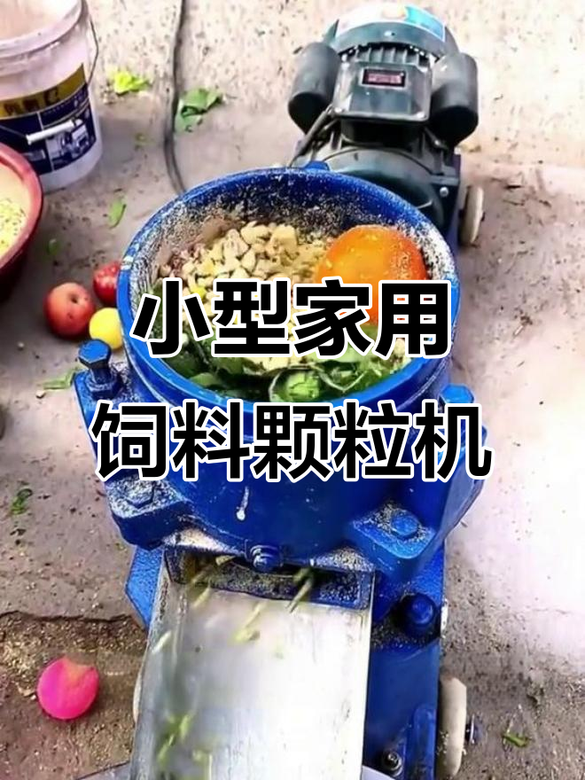 家用小型养殖场必备!玉米饲料颗粒机,猪牛羊鸡鸭鹅都能用