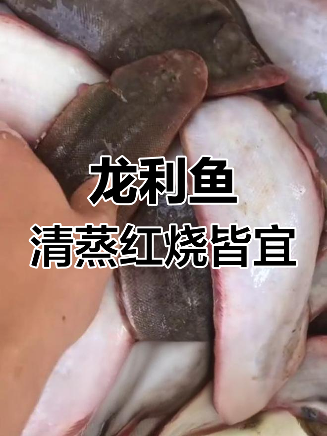 野生龙利鱼,踏板鱼的另一种称呼