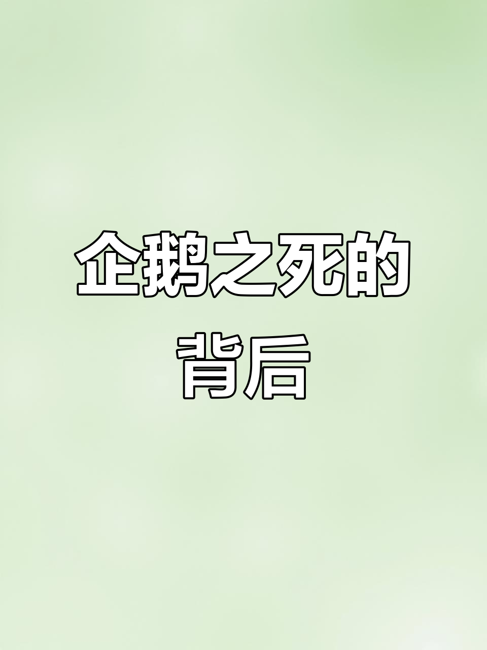 企鹅惨死真相,动物世界中的悲剧