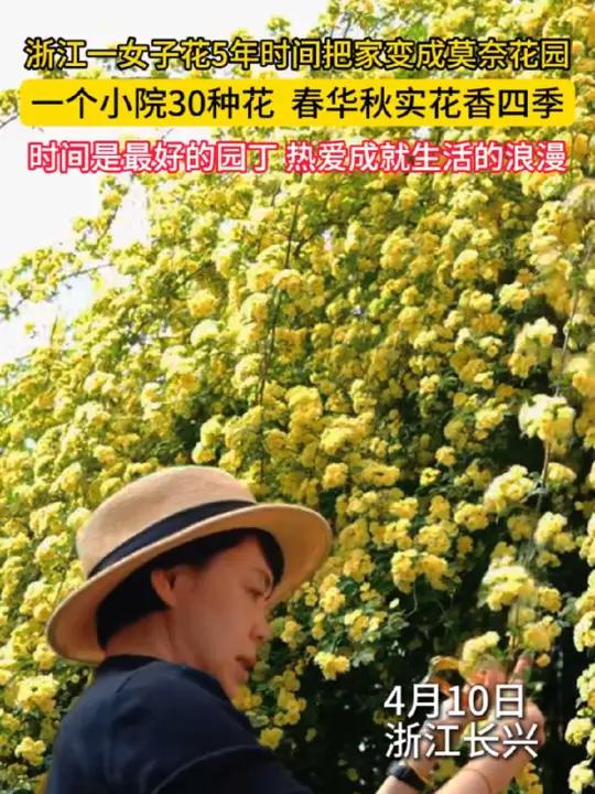 浙江女子用5年时光,把家雕琢成莫奈花园,30种花装点的小院,春华秋实,四季花香弥漫。岁月是
