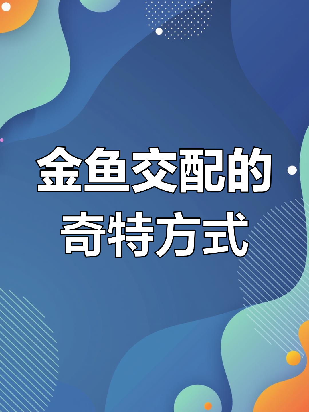 公金鱼如何“帮助”母金鱼繁衍?看这只公金鱼的神奇用法