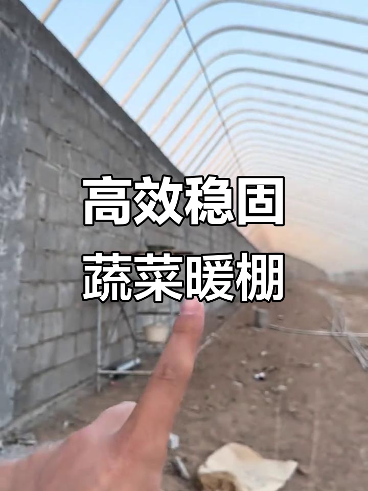 蔬菜温室大棚设计,抗风抗压稳固结构全解析