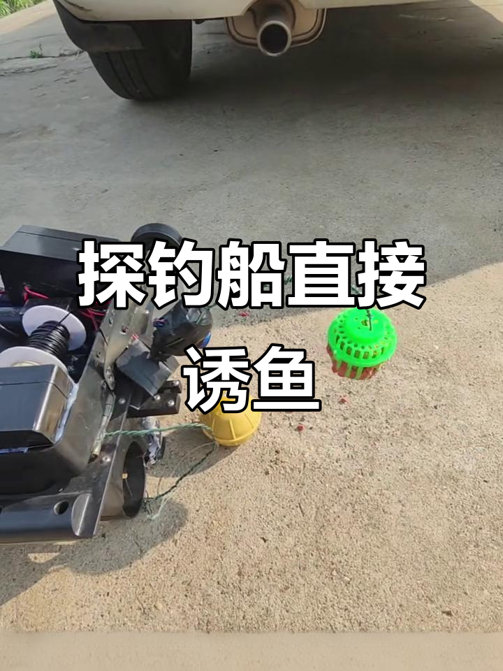 锚太公测试饵料笼诱鱼效果，声呐双层验证精准钓鱼