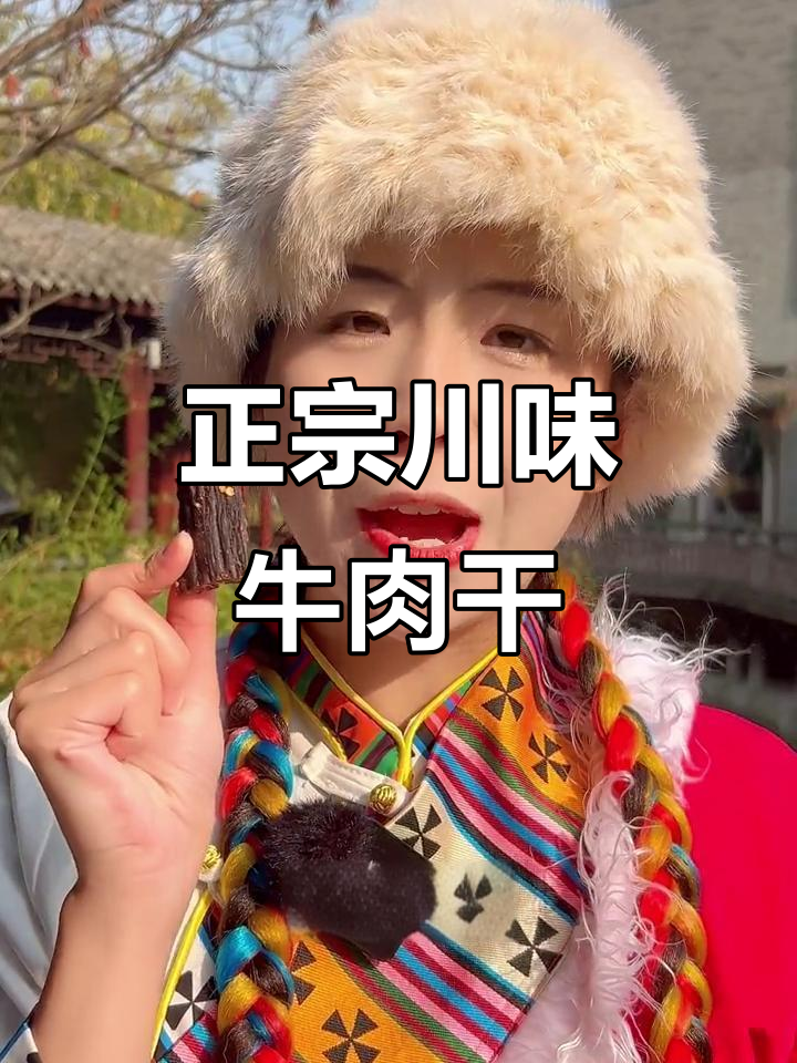 四川麻辣风干牛肉干,解馋又过瘾!