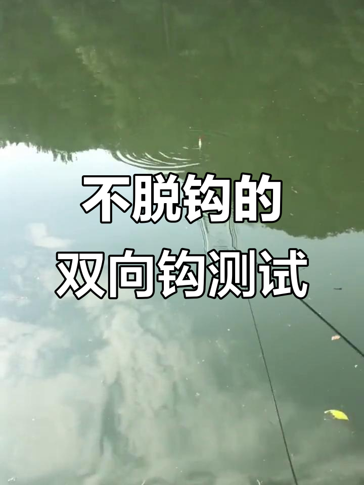 双向钩实测:吃进去就吐不出来的鱼钩,提竿晚了也不怕脱钩