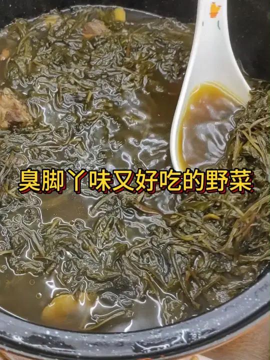 比螺狮粉还臭,比苦丁菜还苦,却还是又人爱不释口?乡村味道 今天吃啥 原生态美食