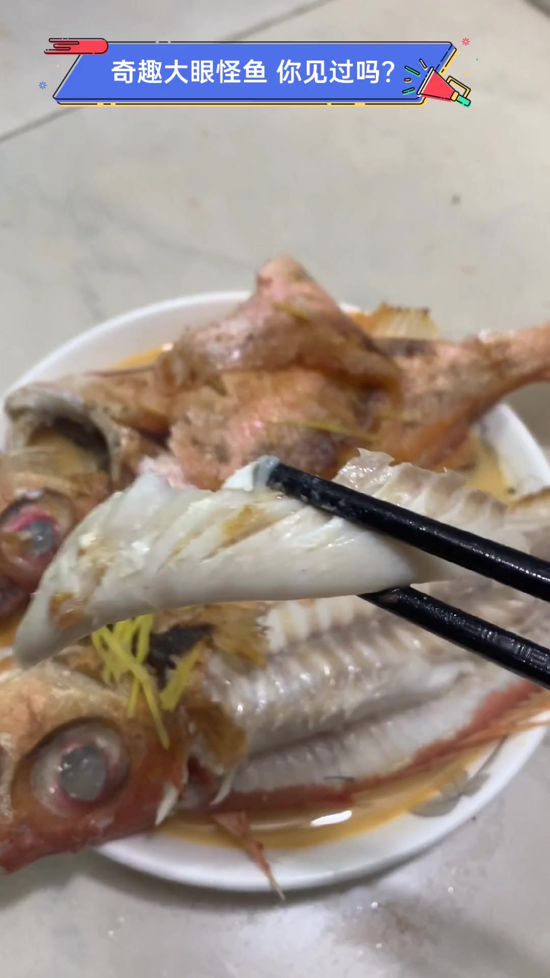 奇趣大眼怪鱼,你见过吗?