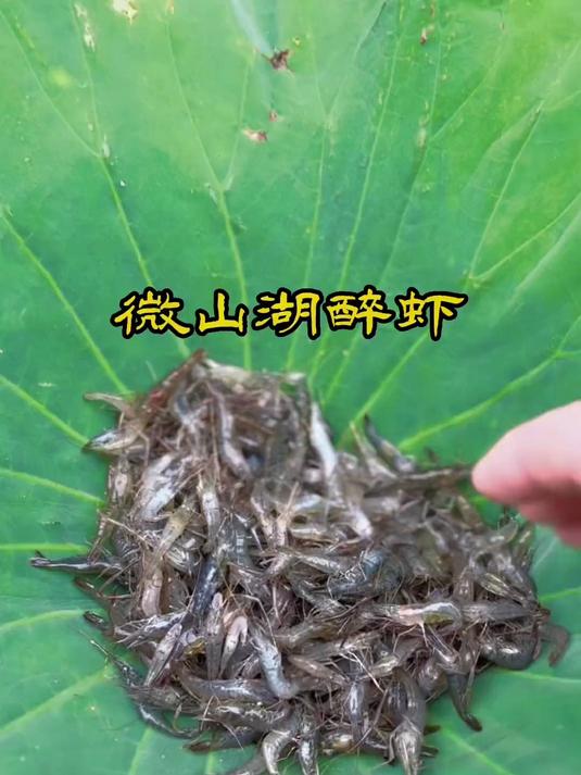 渔家菜、家乡菜,微山湖醉虾是特色美食