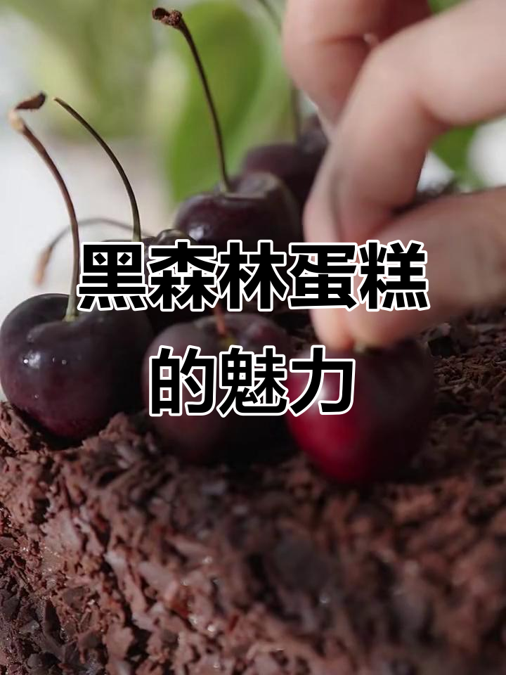 德国经典黑森林蛋糕,一口接一口停不下来