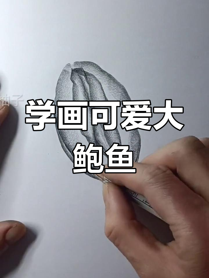 轻松学画大鲍鱼，简单步骤教你搞定