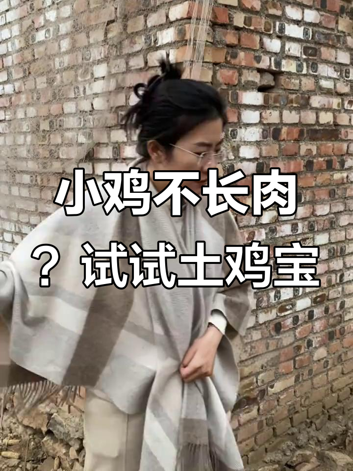 土鸡宝助力小鸡成长,尾巴短小也能变红